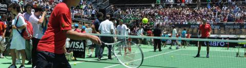 Wimbledon Tennistoernooi